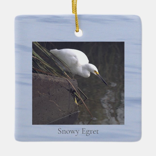 Ornamento De Cerâmica Snowy Egret Bird Photo Ornament  (Frente)