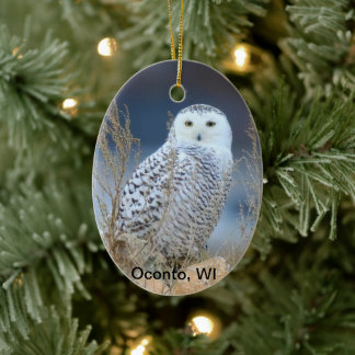 Ornamento De Cerâmica Snowy Owl Cerâmica Ornament