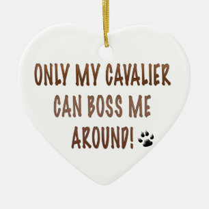 Ornamento De Cerâmica Só O Meu Cavaleiro Pode Me Dar Uma Volta!