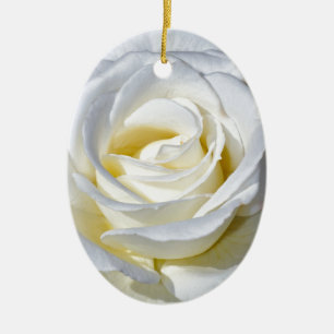 Ornamento De Cerâmica Solteiro de rosa branca