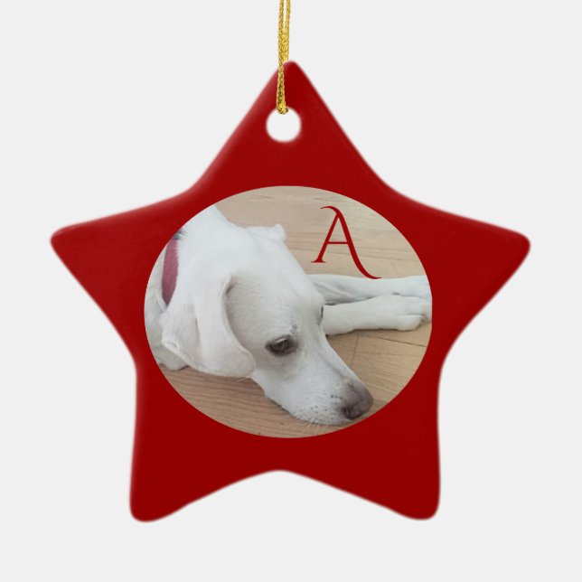 Ornamento De Cerâmica Solteiro Personalizado de Cão Cachorro Inicial Est (Frente)
