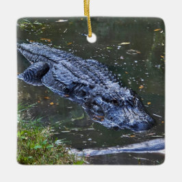 Ornamento De Cerâmica Sombra nas Águas Rasas