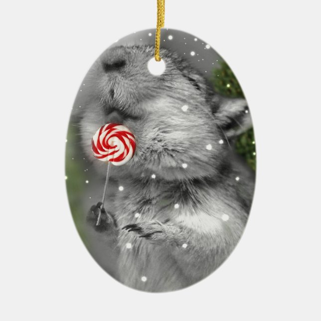 Ornamento De Cerâmica Sonho do Natal do Gerbil (Frente)