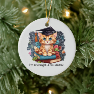 Ornamento De Cerâmica Sou Hetero, um estudante de Gatos