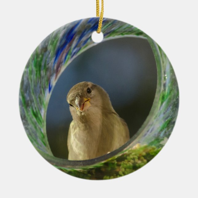 Ornamento De Cerâmica Sparrow in the Spot (Frente)