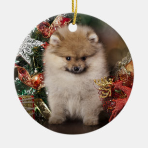 Ornamento De Cerâmica Spitz de Pomeranian, filhote de cachorro do Natal
