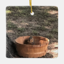 Ornamento De Cerâmica Squirrel 