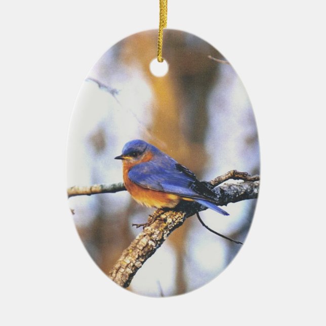 Ornamento De Cerâmica Sr. truman (Frente)