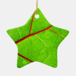 Ornamento De Cerâmica St Thomas 1