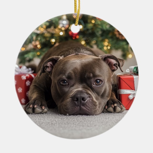 Ornamento De Cerâmica Staffordshire Bull Terrier Christmas (Frente)