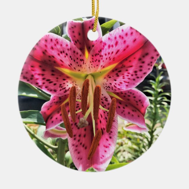 Ornamento De Cerâmica Stargazer Lily Flower (Frente)