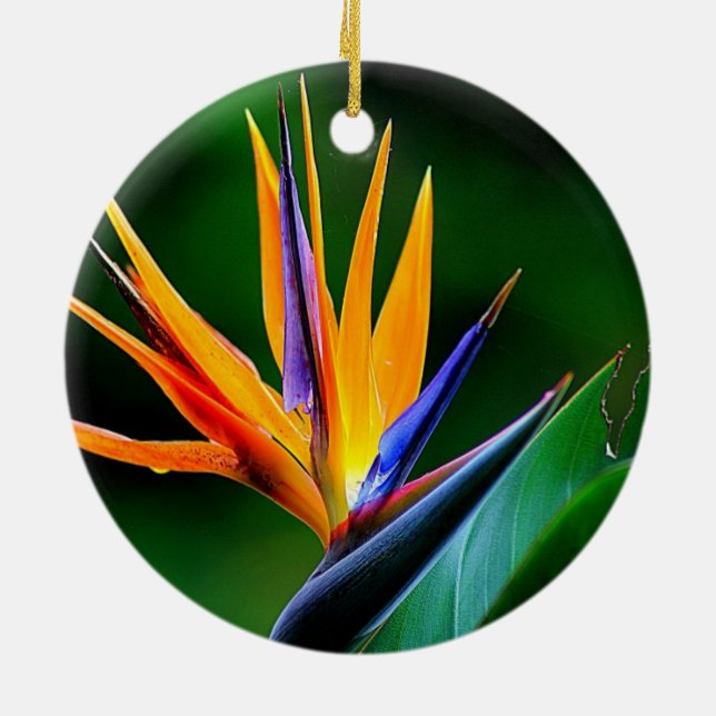 Ornamento De Cerâmica Strelitzia. Pássaro da flor de paraíso (Traseira)