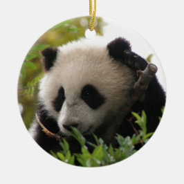 Ornamento De Cerâmica SU Lin, filhote de urso da panda gigante no jardim