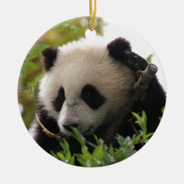 Ornamento De Cerâmica SU Lin, filhote de urso da panda gigante no jardim (Frente)