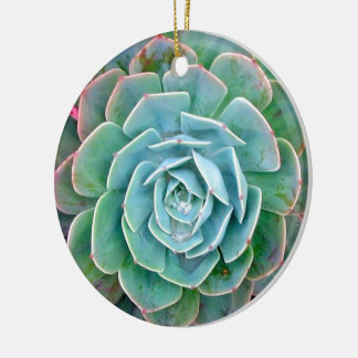 Ornamento De Cerâmica Succulent