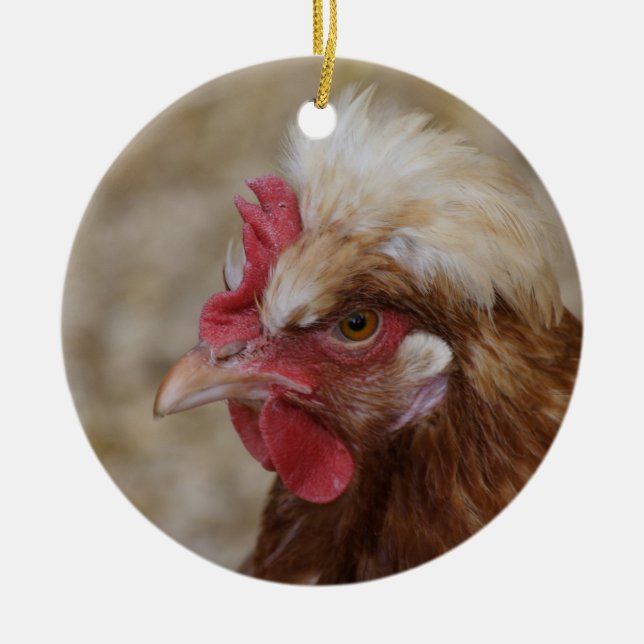 Ornamento De Cerâmica Sulmtaler Hen (Frente)