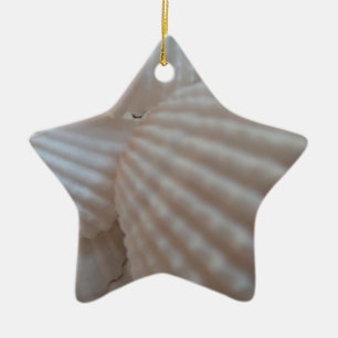 Ornamento De Cerâmica Sunny White Seashells, Sea Shell Beach Summer Love