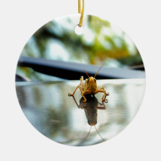 Ornamento De Cerâmica suporte isolador do gafanhoto