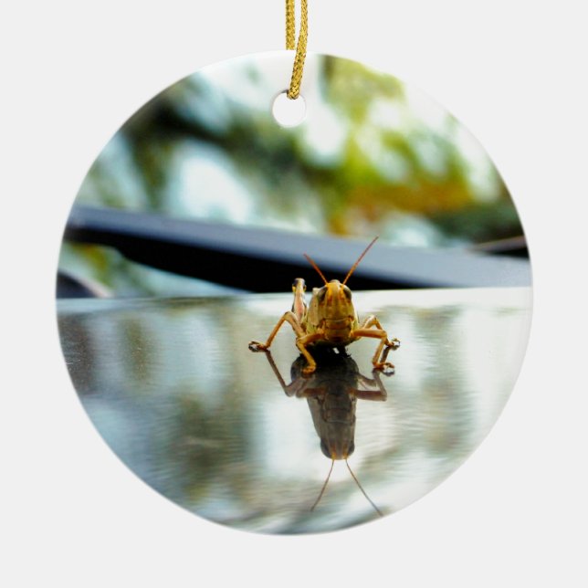 Ornamento De Cerâmica suporte isolador do gafanhoto (Frente)
