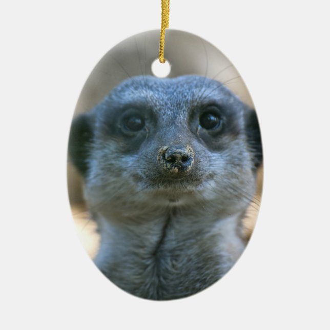 Ornamento De Cerâmica Suricata (Frente)