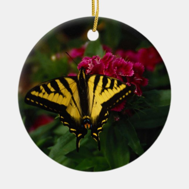 Ornamento De Cerâmica Swallowtail amarelo ocidental (Frente)