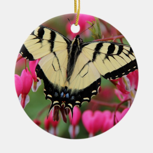 Ornamento De Cerâmica Swallowtail oriental (Frente)
