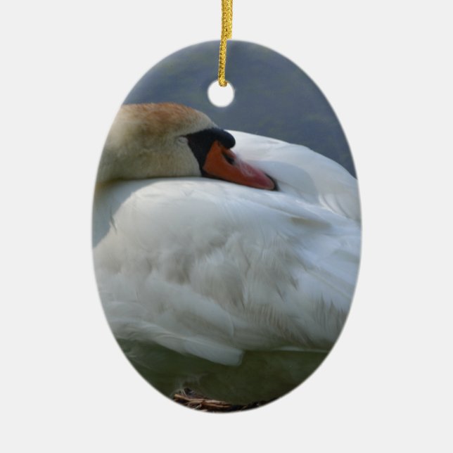 Ornamento De Cerâmica Swan (Frente)