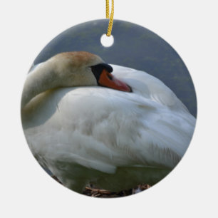 Ornamento De Cerâmica Swan