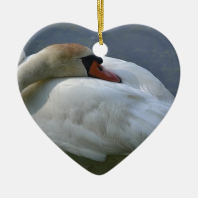 Ornamento De Cerâmica Swan (Frente)