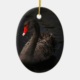 Ornamento De Cerâmica Swan Negro
