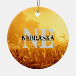 Ornamento De Cerâmica T Nebraska