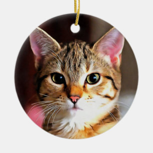 Ornamento De Cerâmica Tabby Artístico Cat Kitten Retrato