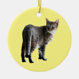 Ornamento De Cerâmica Tabby Cat