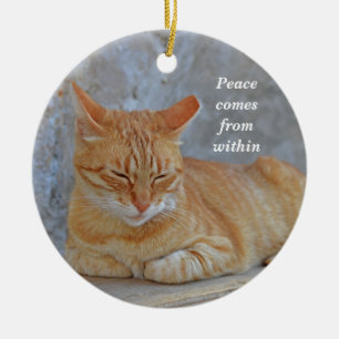Ornamento De Cerâmica Tabby cat descansando no Dubrovnik Inspirational