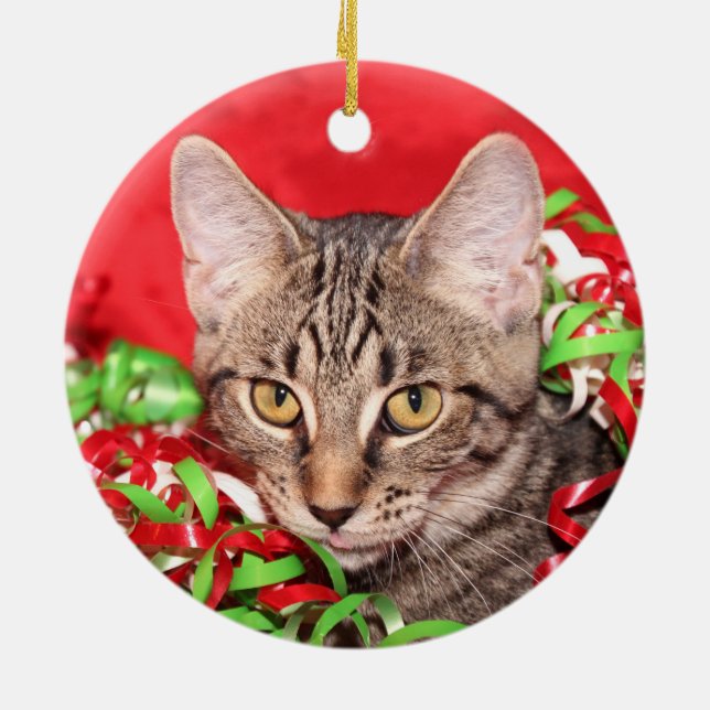 Ornamento De Cerâmica Tabby cat Natal (Traseira)