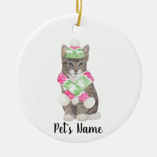 Ornamento De Cerâmica Tabby Cat Personalizado (Cinzas) Rosa e Verde