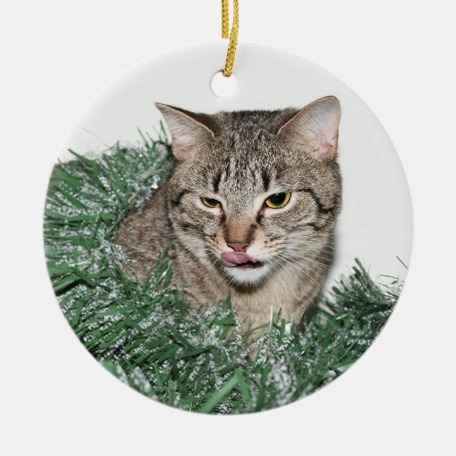 Ornamento De Cerâmica Tabby Christmas (Frente)