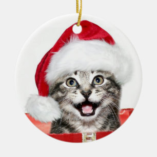 Ornamento De Cerâmica Tabby Christmas kitten