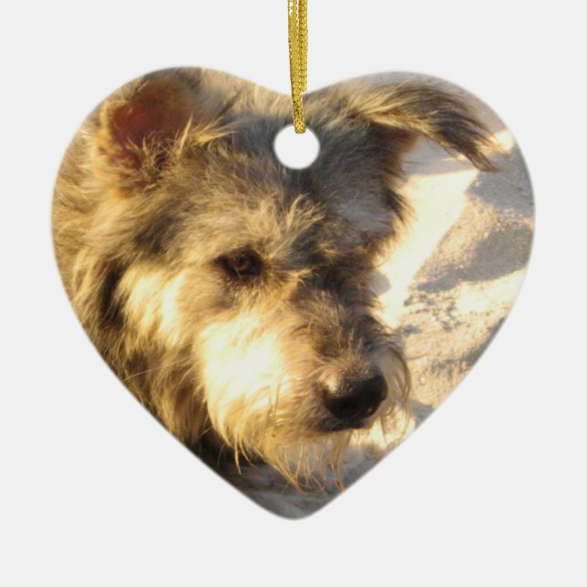 Ornamento De Cerâmica Tailandês Beach Dog (Frente)