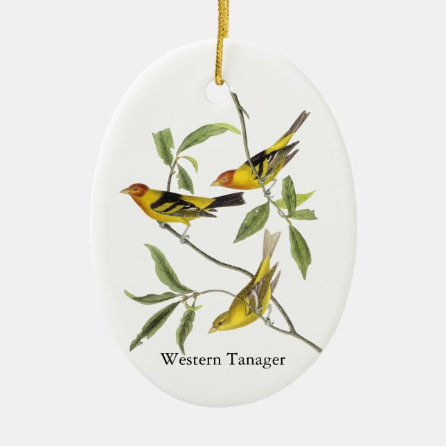 Ornamento De Cerâmica Tanager ocidental - John James Audubon (Frente)
