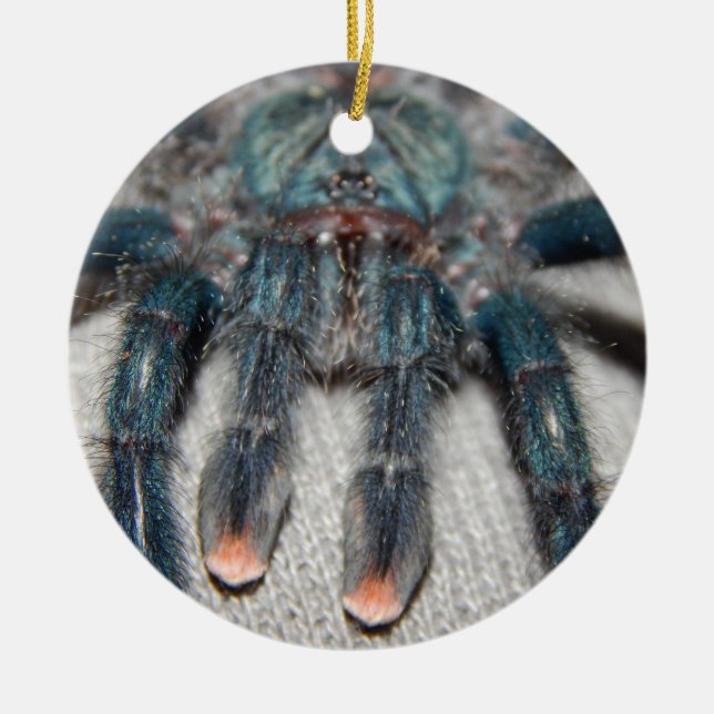 Ornamento De Cerâmica tarântula azul (Frente)