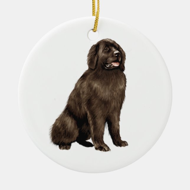 Ornamento De Cerâmica Terra Nova - Sessão marrom (Frente)