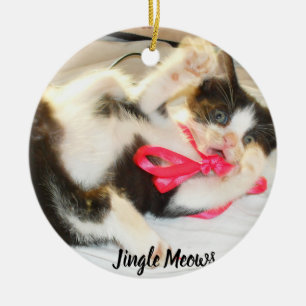 Ornamento De Cerâmica Texto do Jingle da Foto de Gatinhos, Personalize, 