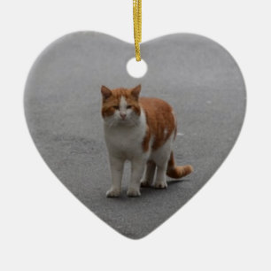 Ornamento De Cerâmica Thomas Ginger E Gata Branca