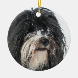 Ornamento De Cerâmica Tibet_Terrier.png