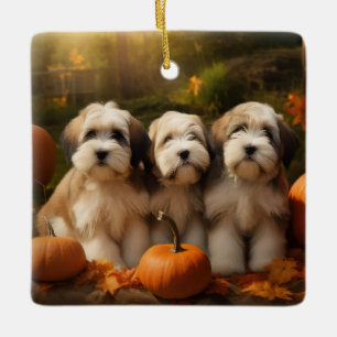 Ornamento De Cerâmica Tibetano Terrier Puppy Autumn Delight Pumpkin