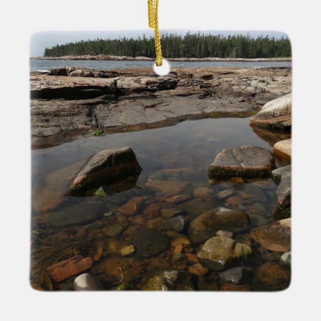 Ornamento De Cerâmica Tidepool em Wonderland, no Parque Nacional de Acad (Frente)