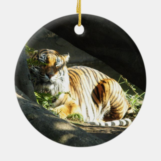 Ornamento De Cerâmica Tiger Catnap (Traseira)