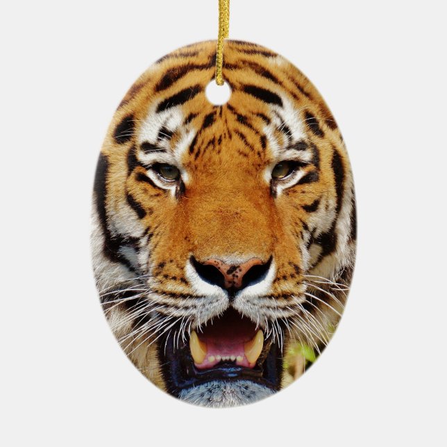 Ornamento De Cerâmica Tigre (Frente)