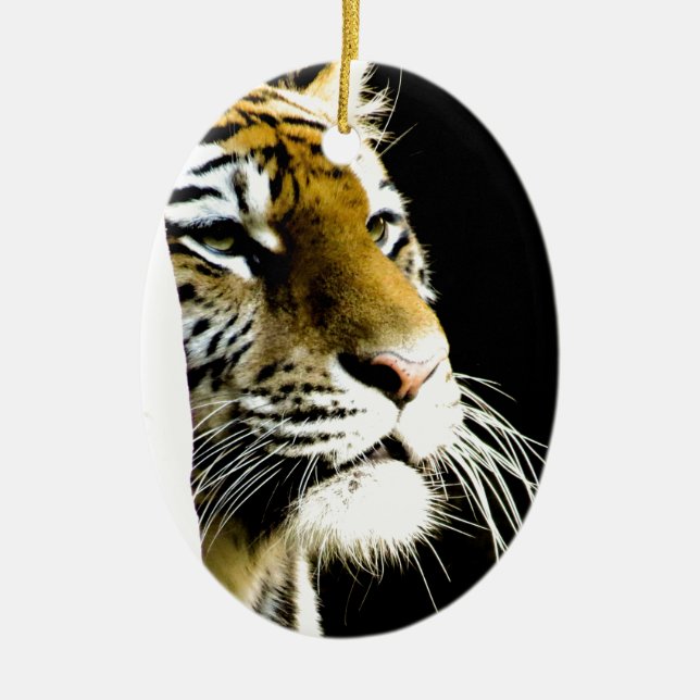 Ornamento De Cerâmica Tigre (Frente)